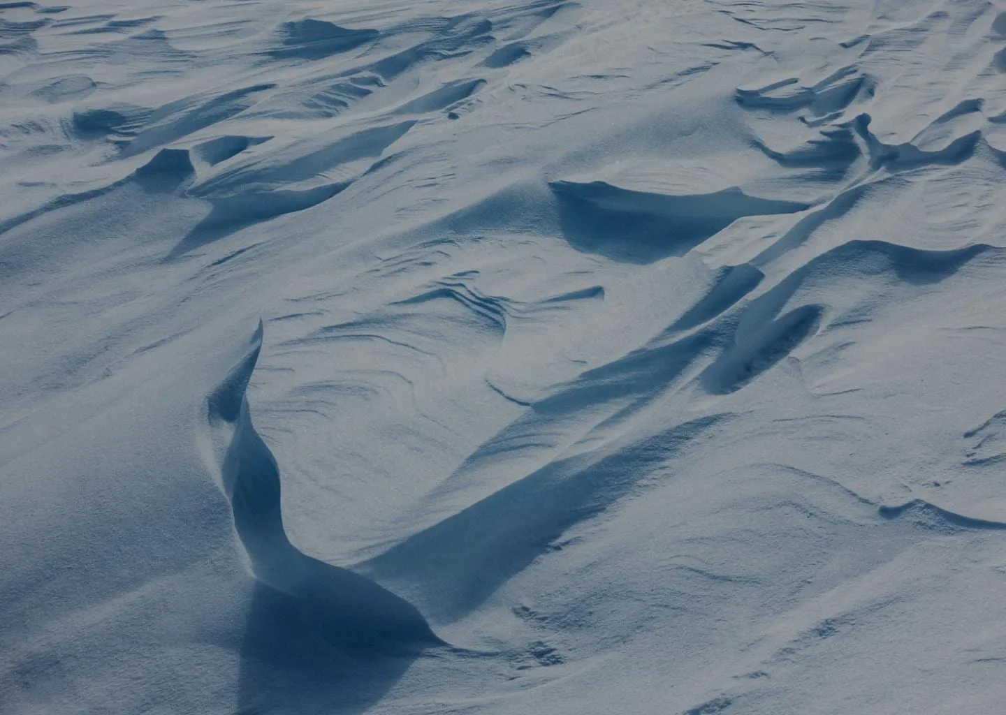 Dune di neve in un paesaggio artico